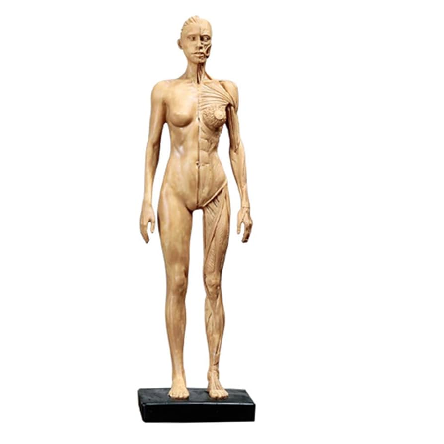 M4☆洋書 THE BODY BOOK 人形の本☆ M4☆洋書 THE BODY BOOK 人形の本☆ M4☆洋書 THE BODY BOOK